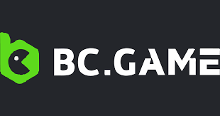 Discovering the Future of Investments with Bcigra Top