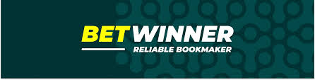 Discover the Excitement of BetWinner Casino