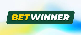 Discover the Excitement of BetWinner Casino
